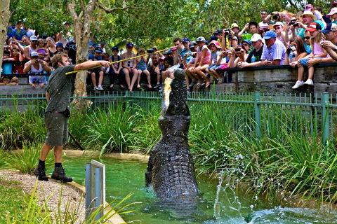 Australian Reptile Park - Surfers Paradise Gold Coast 4