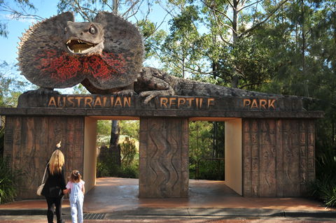 Australian Reptile Park - Surfers Paradise Gold Coast 5