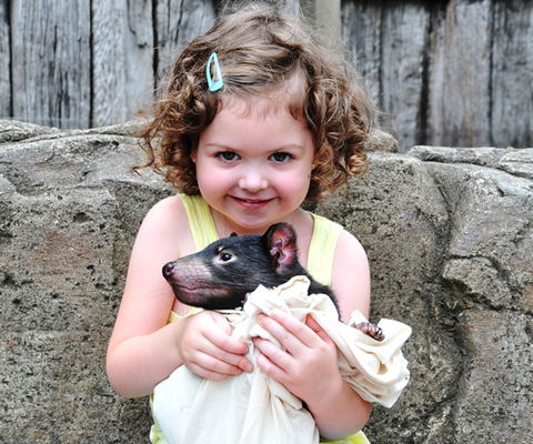 Australian Reptile Park - Surfers Paradise Gold Coast 8