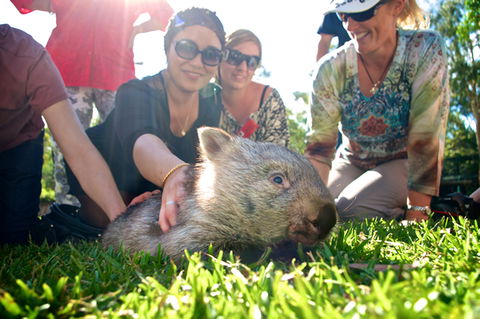 Australian Reptile Park - Surfers Paradise Gold Coast 10