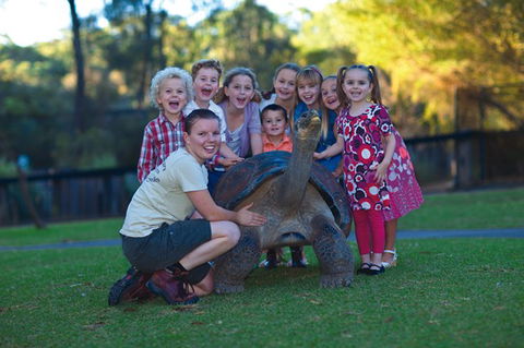 Australian Reptile Park - Surfers Paradise Gold Coast 11