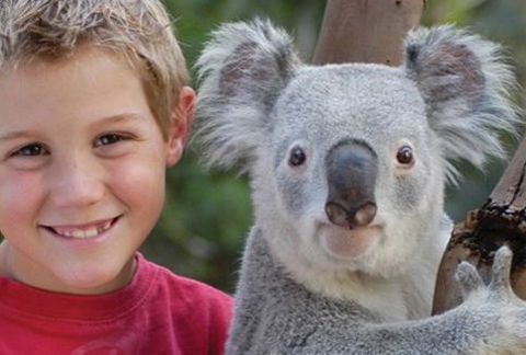 Featherdale Wildlife Park - Surfers Paradise Gold Coast 1