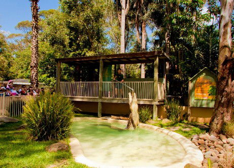 Featherdale Wildlife Park - Surfers Paradise Gold Coast 2