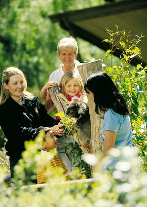 Cleland Wildlife Park - Surfers Paradise Gold Coast 5