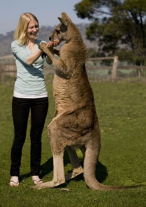 Zoo Doo Wildlife Park - Surfers Paradise Gold Coast 5