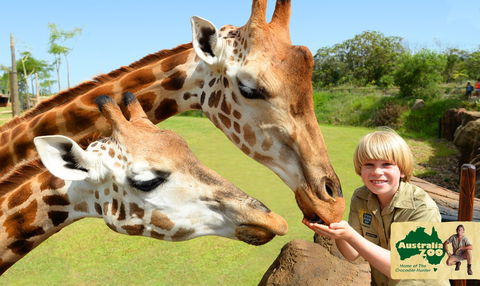 Australia Zoo - Surfers Paradise Gold Coast 4