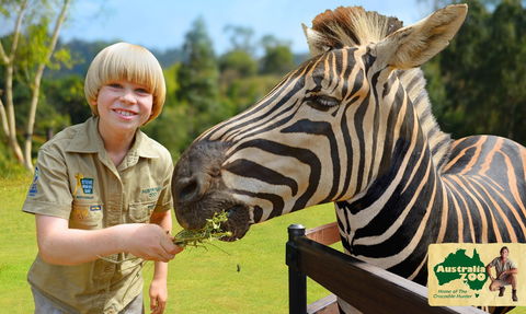 Australia Zoo - Surfers Paradise Gold Coast 5