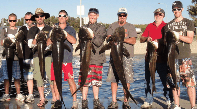 BKs Gold Coast Fishing Charters - Surfers Paradise Gold Coast 1