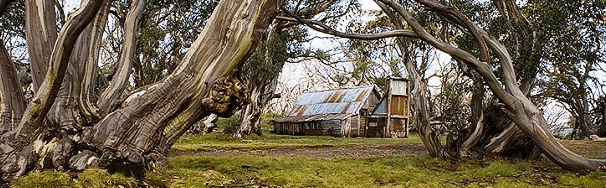 High Country Scenic Tours - Surfers Paradise Gold Coast