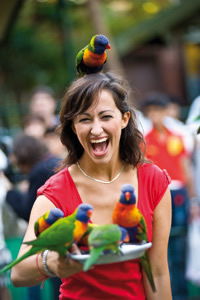 Currumbin Wildlife Sanctuary - Surfers Paradise Gold Coast 10