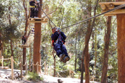 Currumbin Wildlife Sanctuary - Surfers Paradise Gold Coast 11