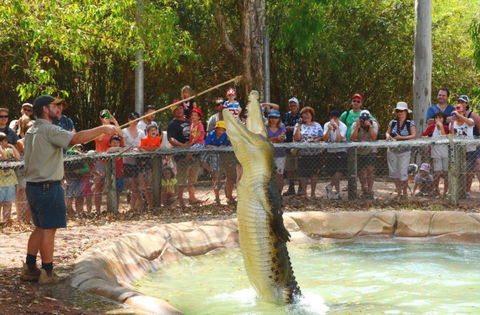 Billabong Sanctuary - Surfers Paradise Gold Coast 2