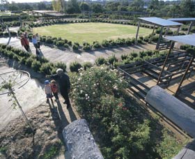 Kojonup Rose Maze - Surfers Paradise Gold Coast 0