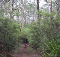 Margaret River Rails Trail - Surfers Paradise Gold Coast