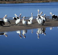 Peel Region Canoe Trails - Surfers Paradise Gold Coast