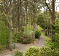 Mount Lofty Botanic Garden - Surfers Paradise Gold Coast