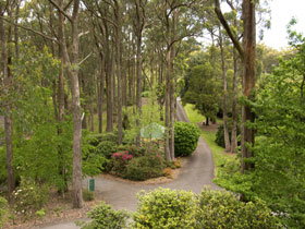 Mount Lofty Botanic Garden - Surfers Paradise Gold Coast 0