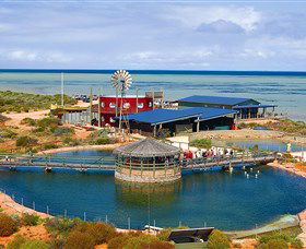 Shark Bay WA Surfers Paradise Gold Coast