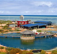 Ocean Park Aquarium - Surfers Paradise Gold Coast
