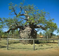 Pigeon Heritage Trail - Surfers Paradise Gold Coast