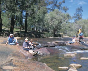John Forrest National Park - Surfers Paradise Gold Coast 0