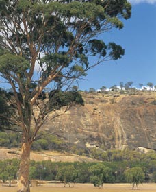 Dulbelling WA Surfers Paradise Gold Coast