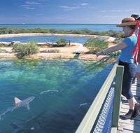 Shark Bay Marine Park - Surfers Paradise Gold Coast