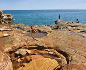 Agri Mining And Industry Sharon QLD Surfers Paradise Gold Coast