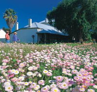 Greenough Museum - Surfers Paradise Gold Coast