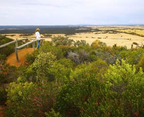 Archer Drive Scenic Drive And Lookout - Surfers Paradise Gold Coast 0