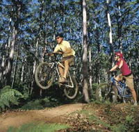 Leeuwin-Naturaliste National Park - Cowaramup - Surfers Paradise Gold Coast