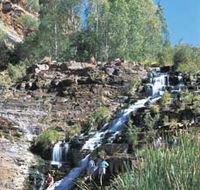 Fortescue Falls - Surfers Paradise Gold Coast
