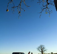 Joonjoo Botanical Trail - Surfers Paradise Gold Coast