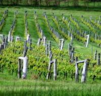 Sienna Estate Winery - Surfers Paradise Gold Coast