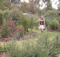The Mythic Mazes - Surfers Paradise Gold Coast