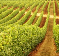 Darlington Estate Winery and Restaurant - Surfers Paradise Gold Coast