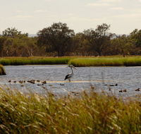 Anytime Adventures in Mandurah  the Peel Region - Surfers Paradise Gold Coast