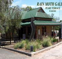 Rain Moth Gallery - Surfers Paradise Gold Coast