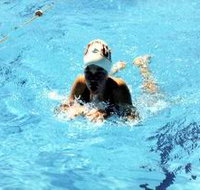 Mount Gambier Aquatic Centre - Surfers Paradise Gold Coast