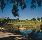Mount Hurtle Winery home of Geoff Merrill Wines - Surfers Paradise Gold Coast