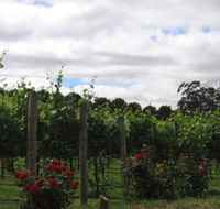 Manyara Vineyard - Surfers Paradise Gold Coast