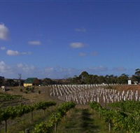 Deep Creek Wines and Alpacas - Surfers Paradise Gold Coast