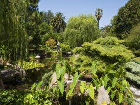Adelaide Himeji Garden - Surfers Paradise Gold Coast 0