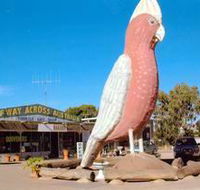 The Big Galah - Surfers Paradise Gold Coast