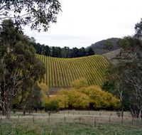 Mt Bera Vineyards - Surfers Paradise Gold Coast