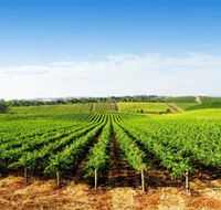 Aldinga Bay Winery - Surfers Paradise Gold Coast