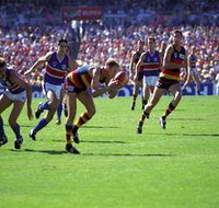 AAMI Stadium Tours - Surfers Paradise Gold Coast