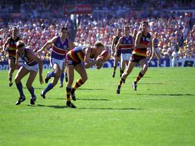 AAMI Stadium Tours - Surfers Paradise Gold Coast 0