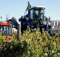 Ballast Stone Estate Wines Pty Ltd - Surfers Paradise Gold Coast