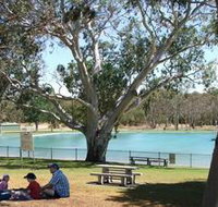 Naracoorte Nature Park and Swimming Lake - Surfers Paradise Gold Coast